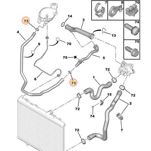 Metal Clips - Peugeot 207 2006 2014 | 6981L1