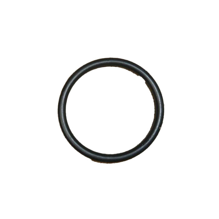 Genuine O-Ring - Peugeot RCZ | 1319N4