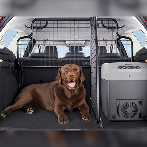Genuine Dog Guard Divider - Ford Focus Estate | 1723910