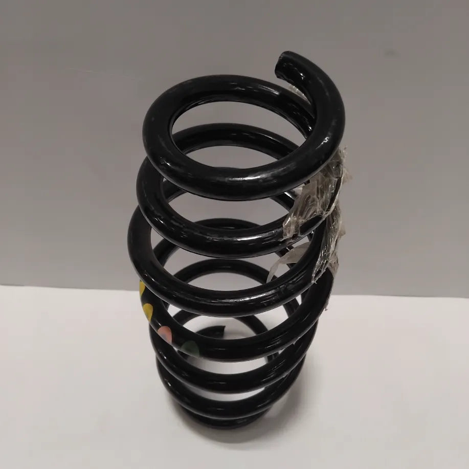 Genuine Suspension Spring - Fiat | 50534841