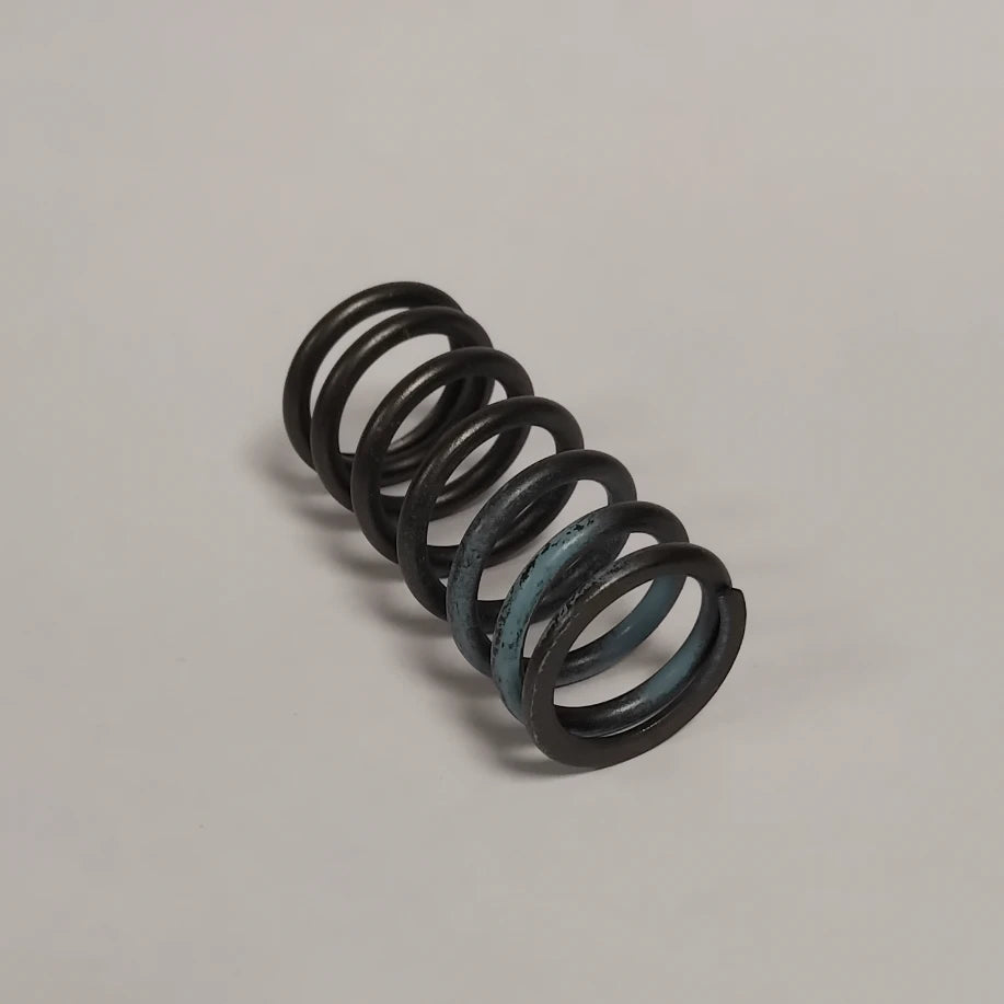 1x Genuine Valve Spring - Ford KA 2016-2019 1.5L / 1.9L | 1349006