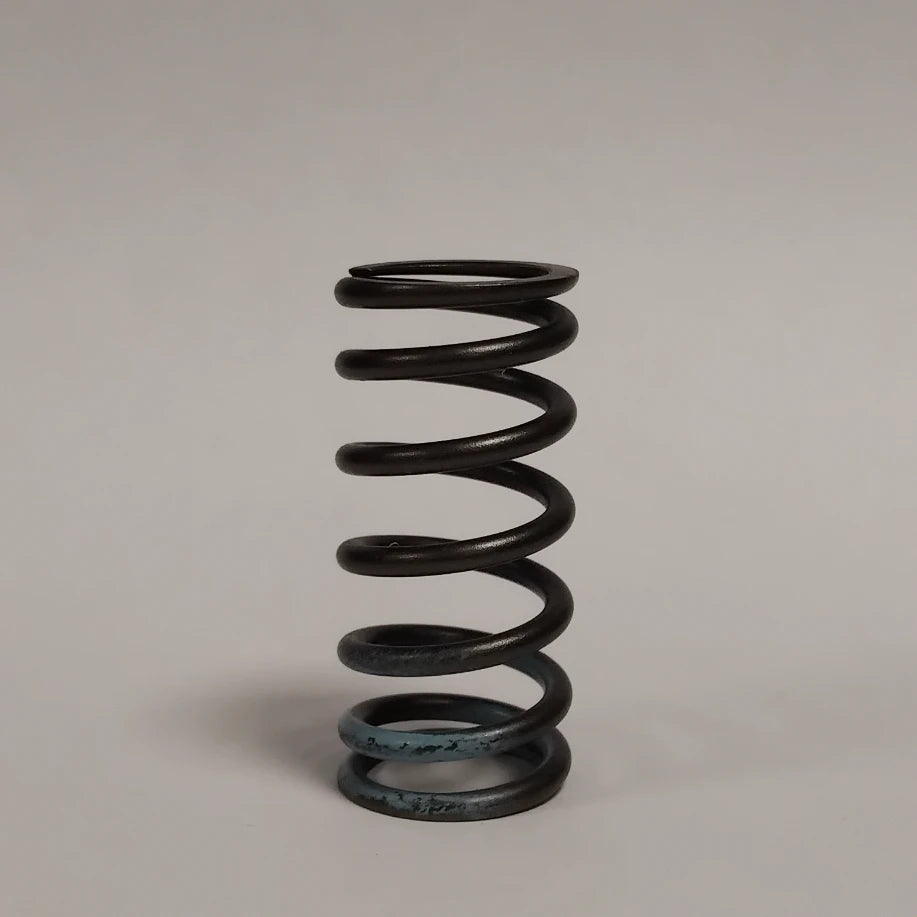 1x Genuine Valve Spring - Ford KA 2016-2019 1.5L / 1.9L | 1349006