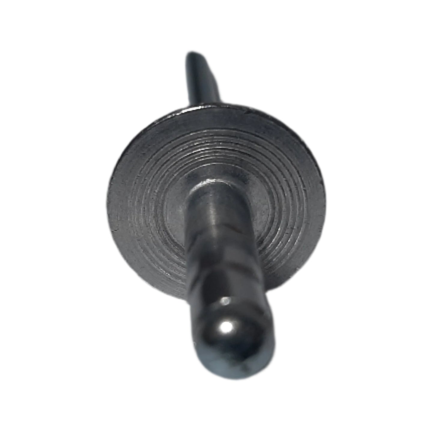Genuine Fiat Rivet | 51756626