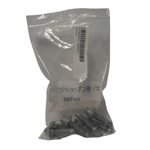 Genuine Fiat Screw | 811900027