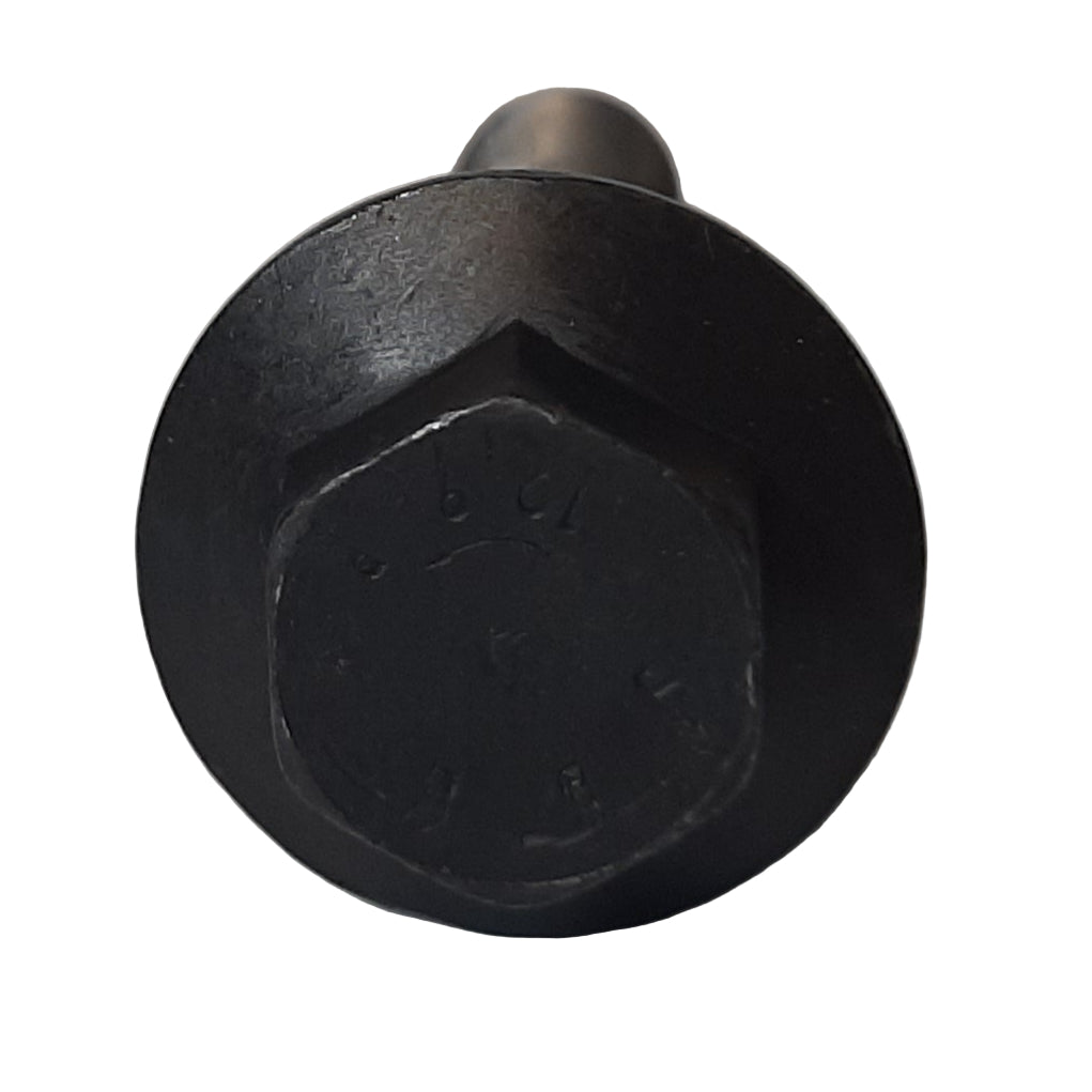 Genuine Fiat Screw | 55225505