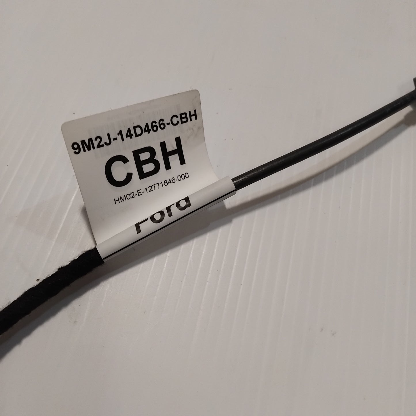 Genuine Parking Camera Wiring Assembly - Ford | 1870250