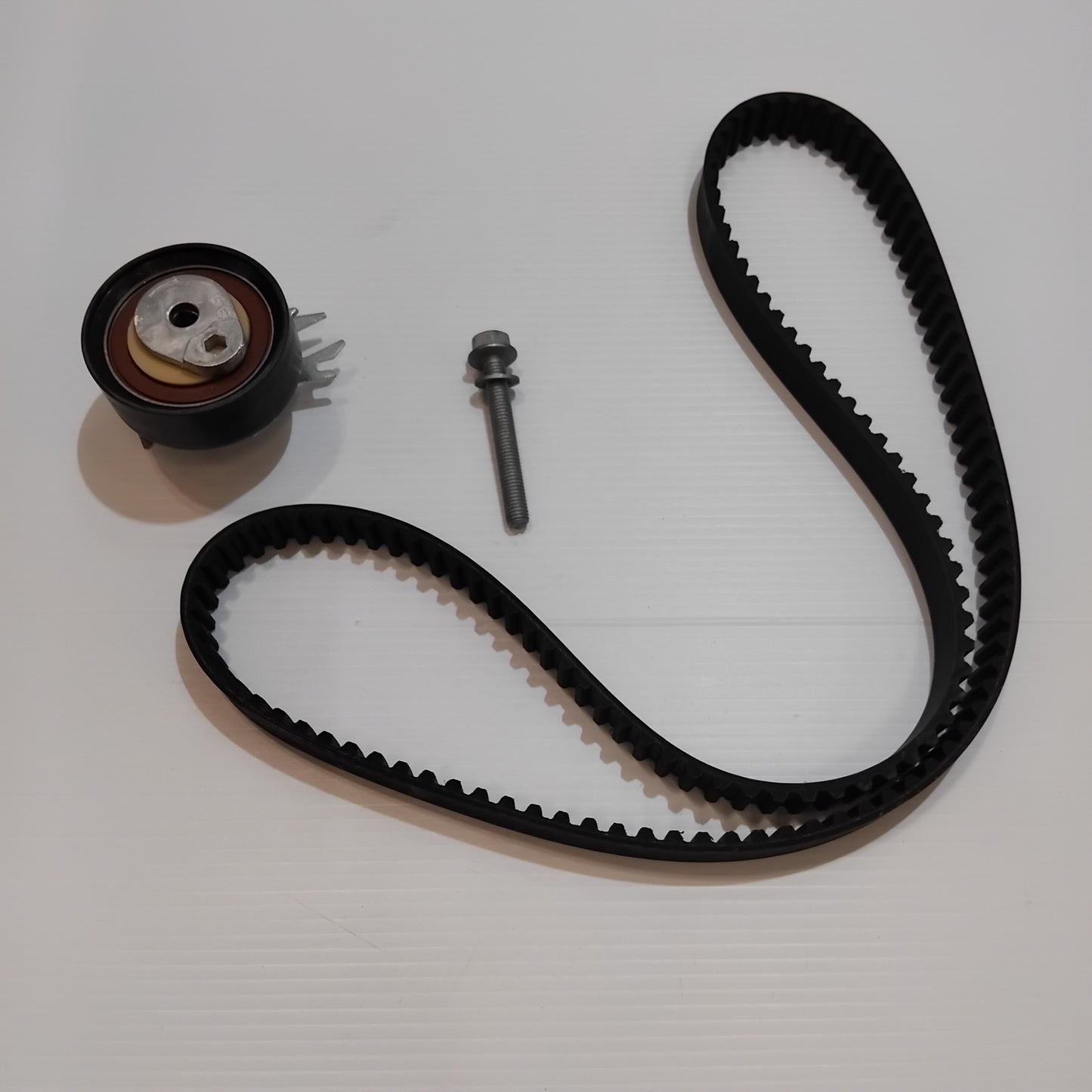 Genuine SEAT Repair Kit | 030198119B
