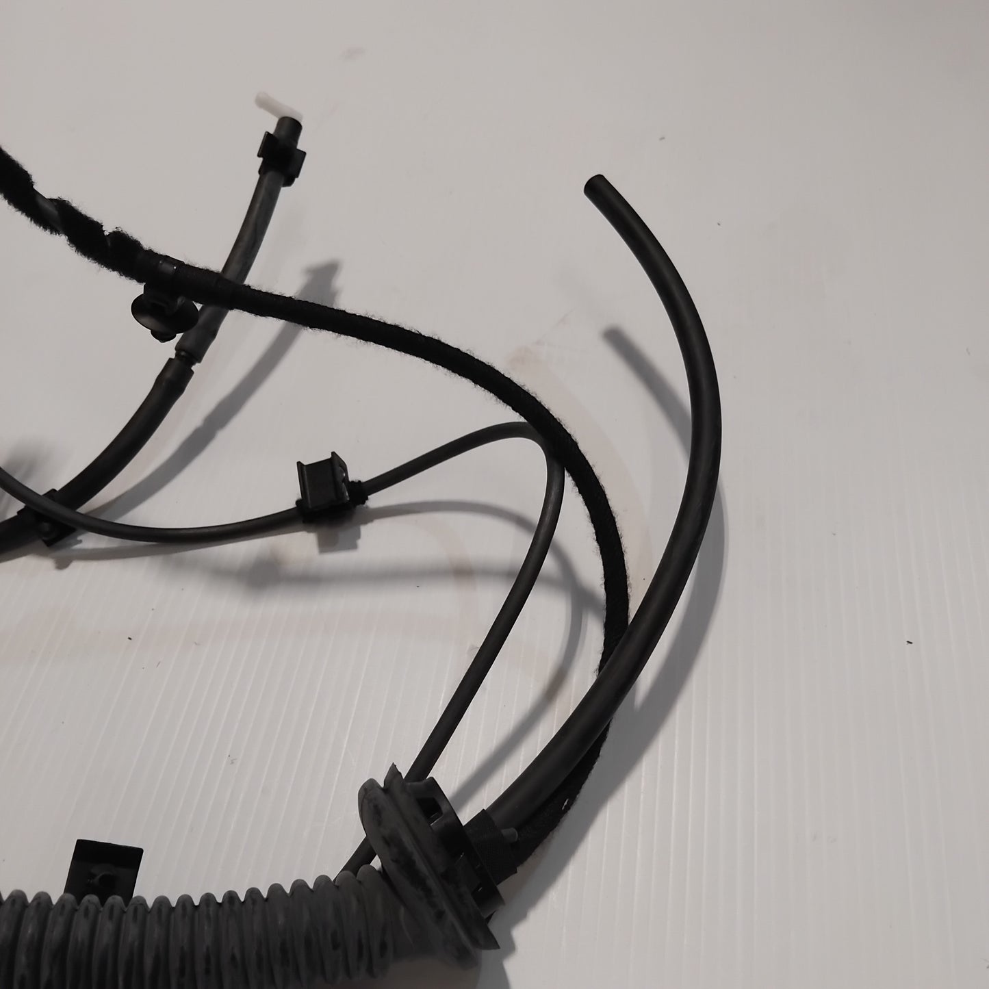 Genuine Parking Camera Wiring Assembly - Ford | 1870250
