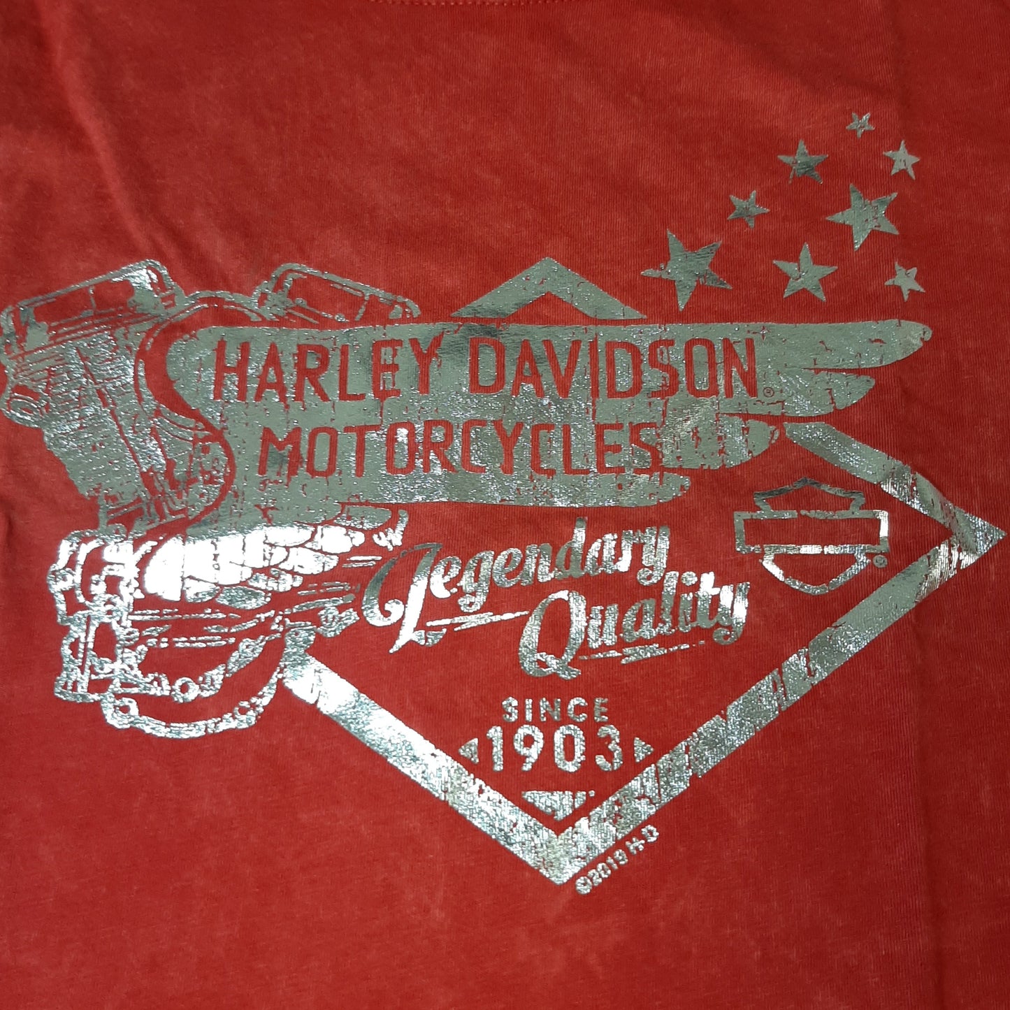 Genuine Harley Davidson Desire Men's T-shirt - XXL | R0032107