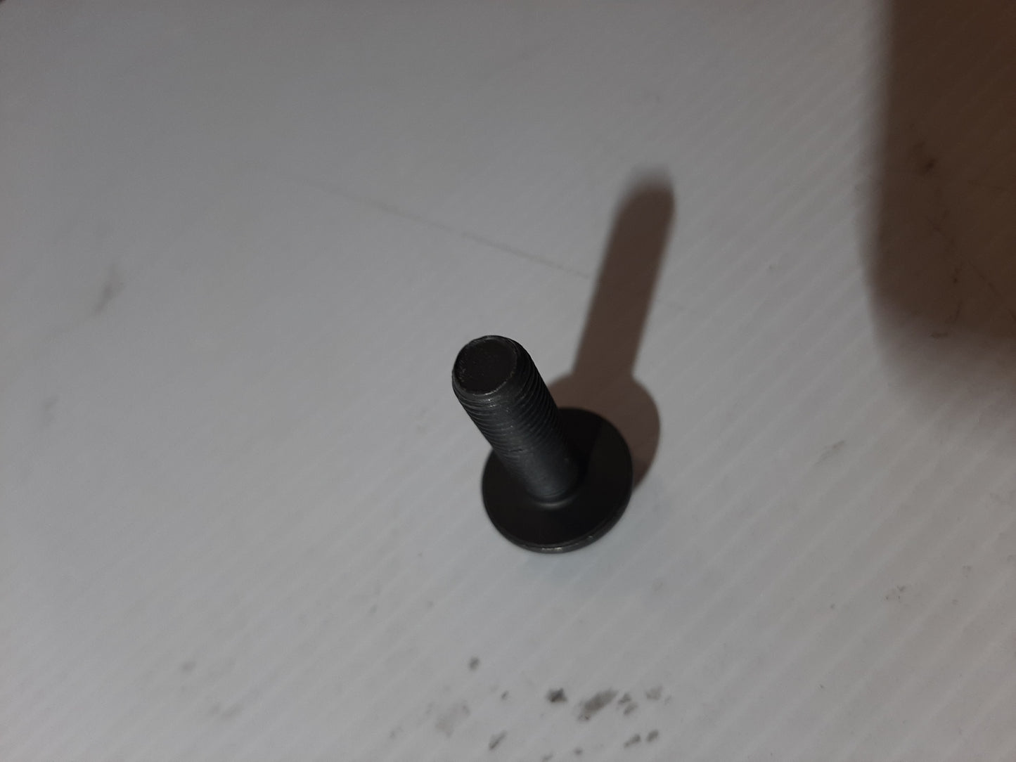 Genuine SEAT Screw | N91203301