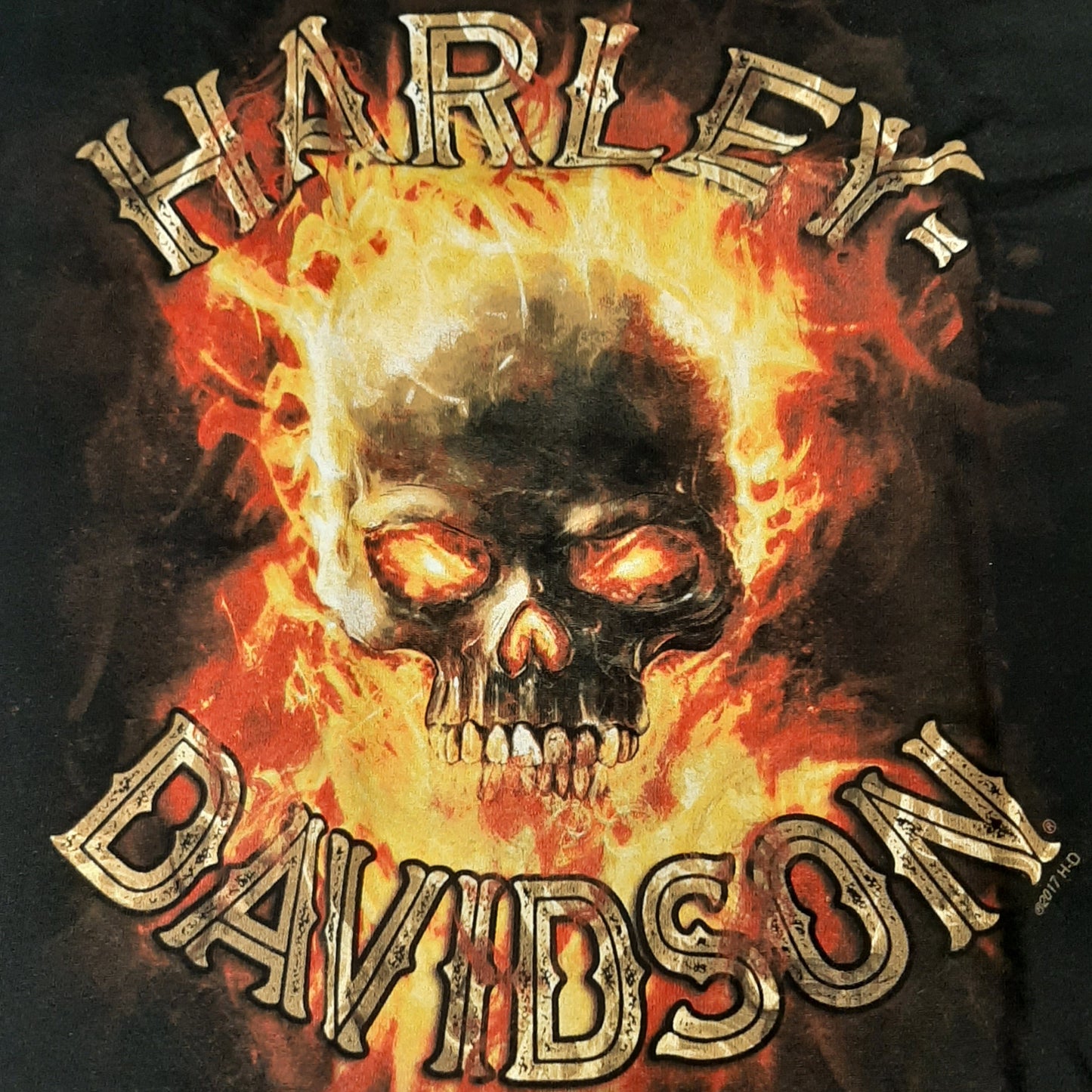 Genuine Harley Davidson S Skull Fire Robin Hood Men's T-shirt - Small | R0023713