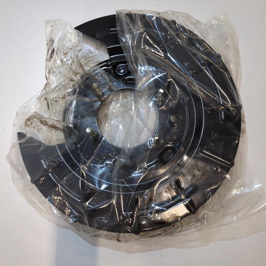 Genuine Kia Plate Assy-Rr Brake | 5825130