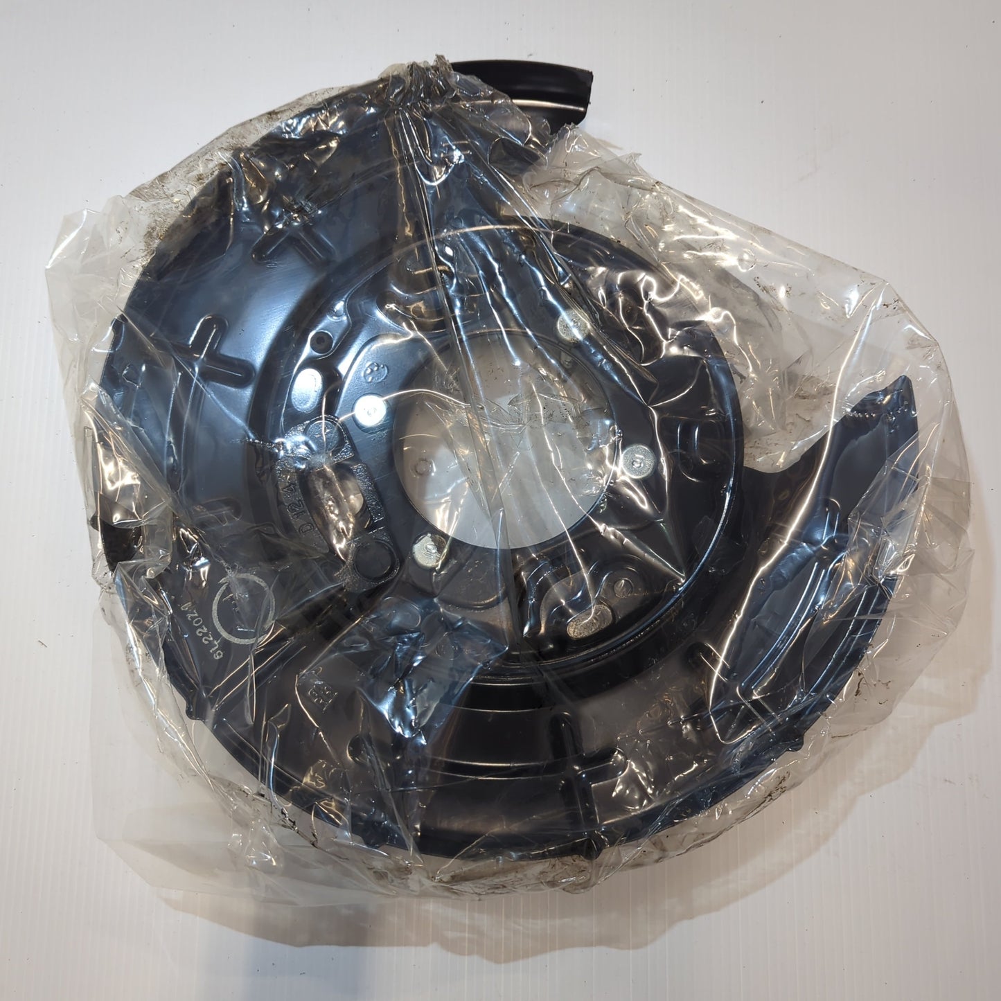 Genuine Kia Plate Assy-Rr Brake | 5825130