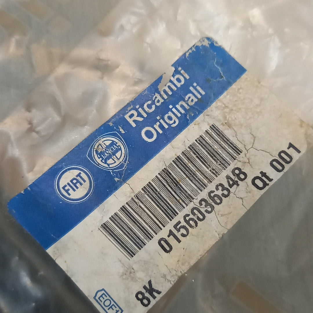 Genuine Rear Door Seal - Lancia Thesis | 156036348