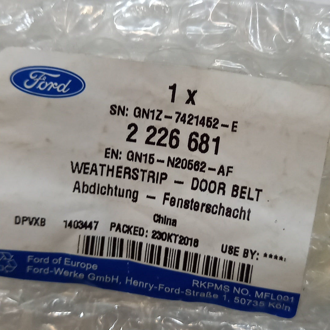 Genuine Front Right Door Weatherstrip Belt - Ford Ecosport Mk2 | 2226681
