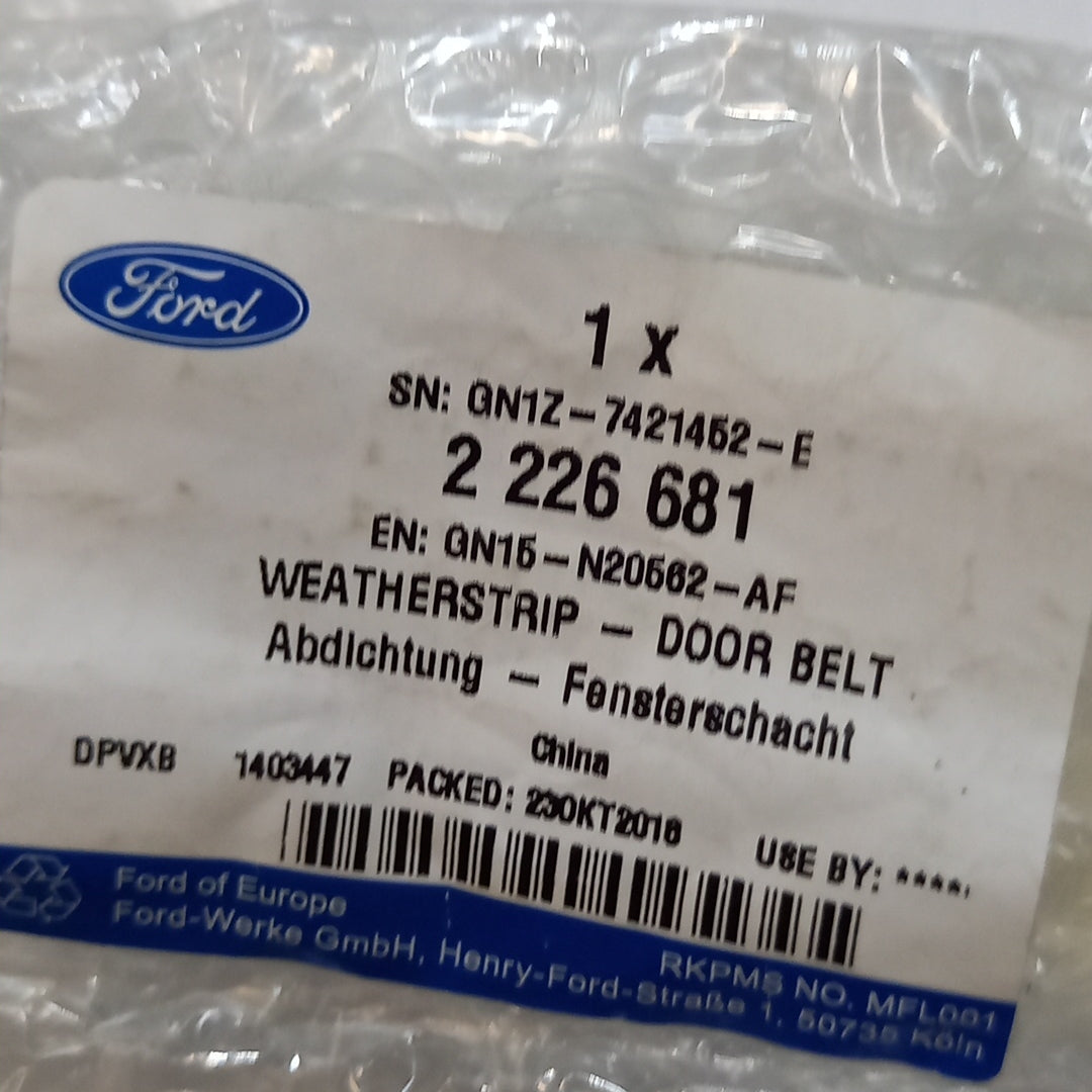 Genuine Front Right Door Weatherstrip Belt - Ford Ecosport Mk2 | 2226681