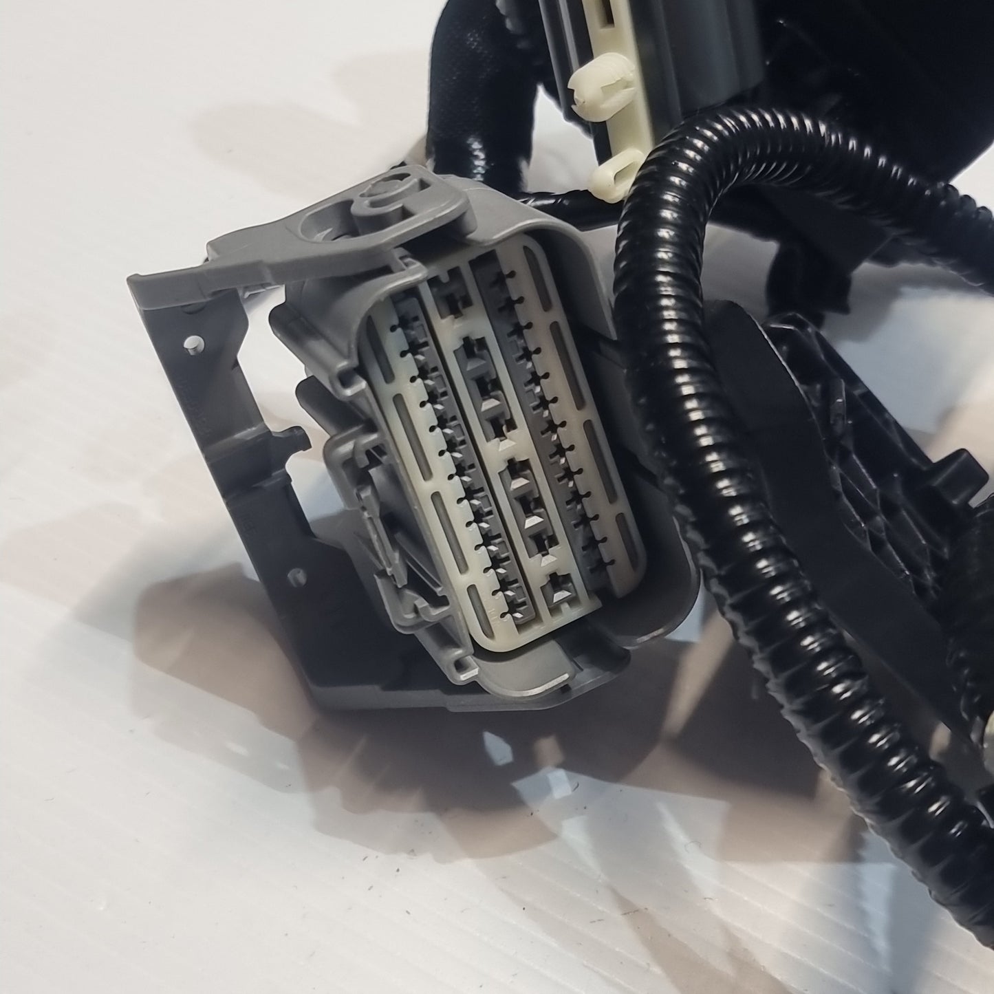 Genuine Wire Assembly - Ford | 2351496