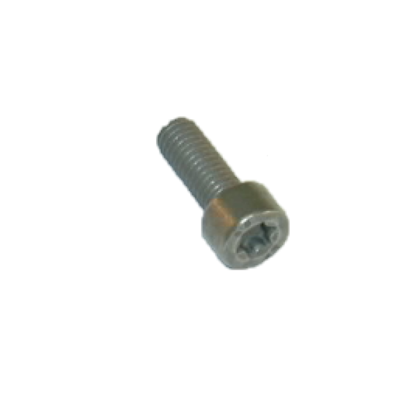 Genuine Injector Rail Bolts - SEAT Ibiza 2013-Present 1.2 Tsi | N10546403