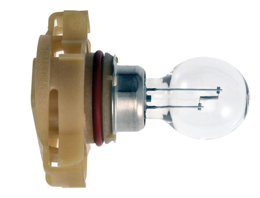 12V 24W Globe Bulb & Base | EB0189SB