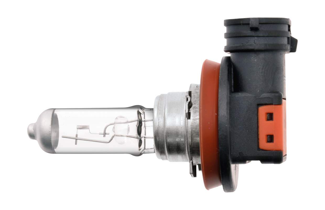 H16 12V 19W Halogen Bulb | EB0716SB