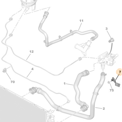 Genuine Radiator Outlet Hose Bracket - Peugeot / Citroen | 135950
