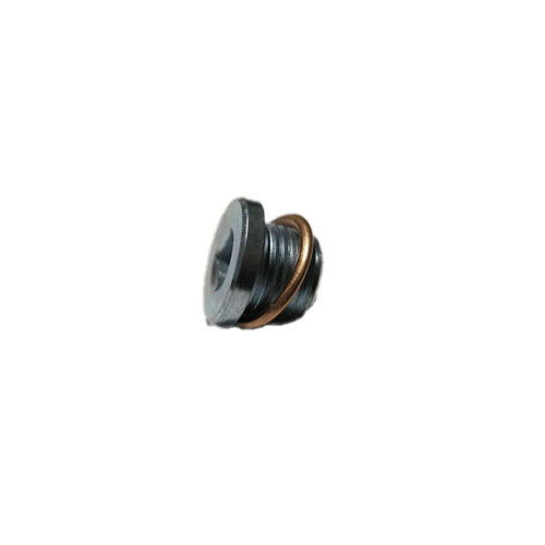 Engine Sump Plug - Renault Clio | 77 03 075 347