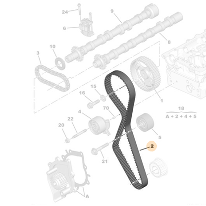 Genuine Timing Belt - Citroen C4 / Peugeot 3008 Diesel 2.0 | 0816K8