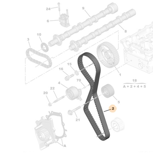 Genuine Timing Belt - Citroen C4 / Peugeot 3008 Diesel 2.0 | 0816K8