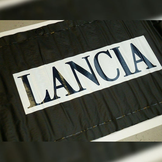 Genuine Magnetic Wing Cover - Lancia | 5910488