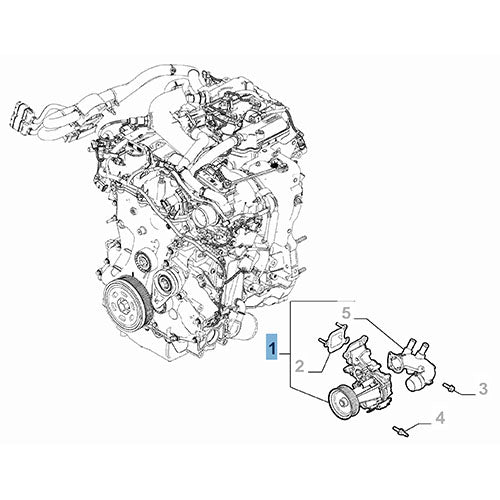 Genuine Water Pump - Alfa Romeo | 50057531