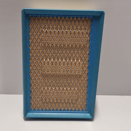 Air Filter - Fiat / Professional |  52072078