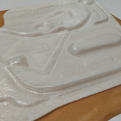 Genuine Left Front Door Sealing Sheet - Citroen C3 | 9365CH