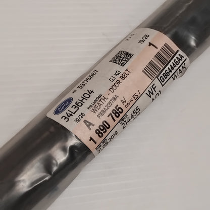 Genuine Left Door Weatherstrip - Ford Focus CEW 2014-2020 | 1890785