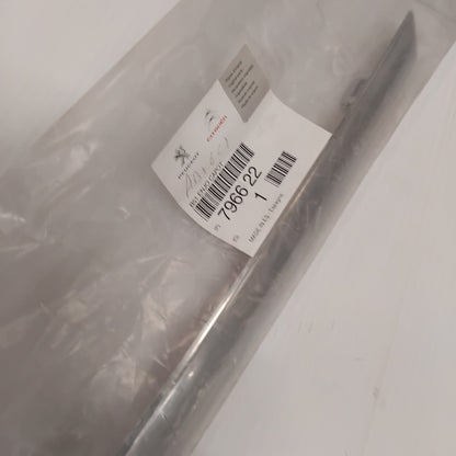 Genuine Chrome Bonnet Moulding - Citroen C4 | 796622