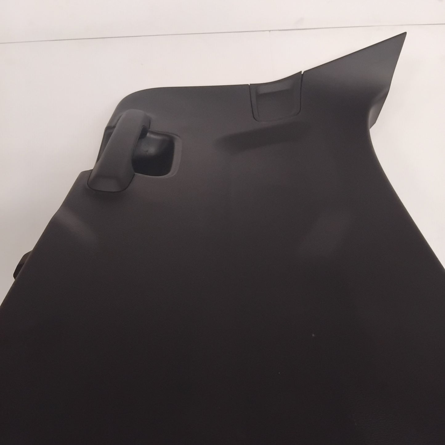 Genuine Interior Tailgate Trim - Ford | 2419347