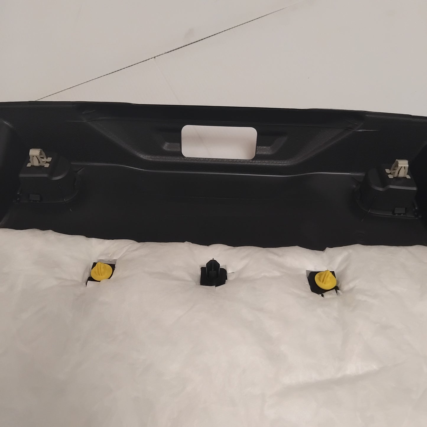 Genuine Interior Tailgate Trim - Ford | 2419347