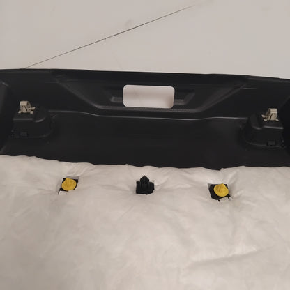 Genuine Interior Tailgate Trim - Ford | 2419347