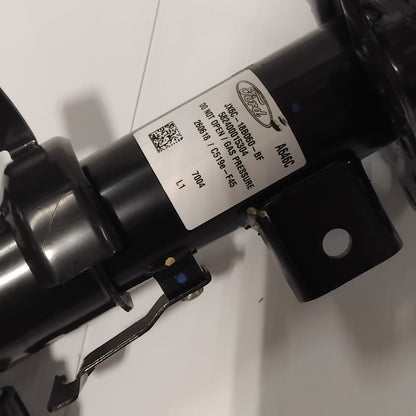 Genuine Ford Strut - Suspension | 2302271