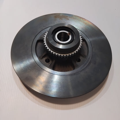 Rear Brake Discs - Renault Clio 172 182 | 7701204901