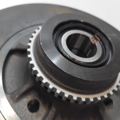 Rear Brake Discs - Renault Clio 172 182 | 7701204901