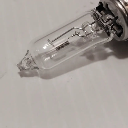 Genuine H9 Bulb - Toyota Lexus | 90981-YZZAL