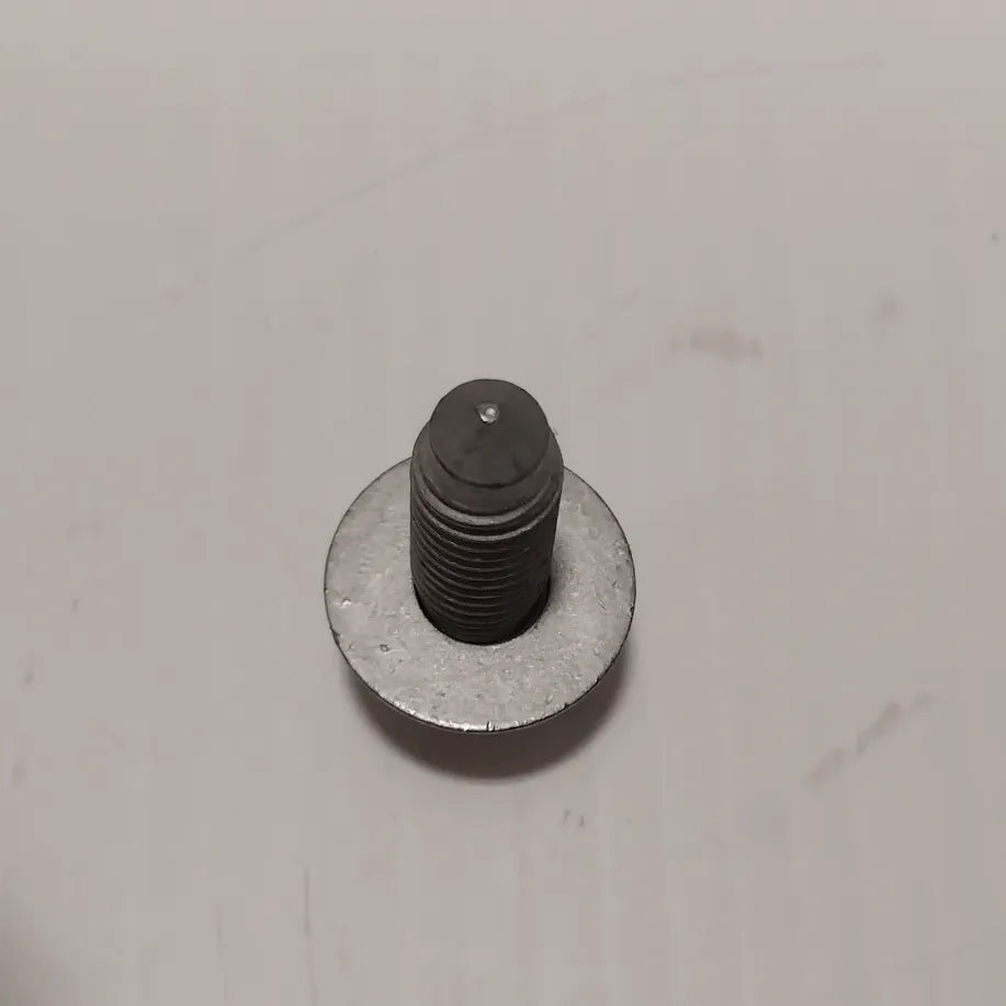 Genuine Vauxhall Screw-Torx | 24436242