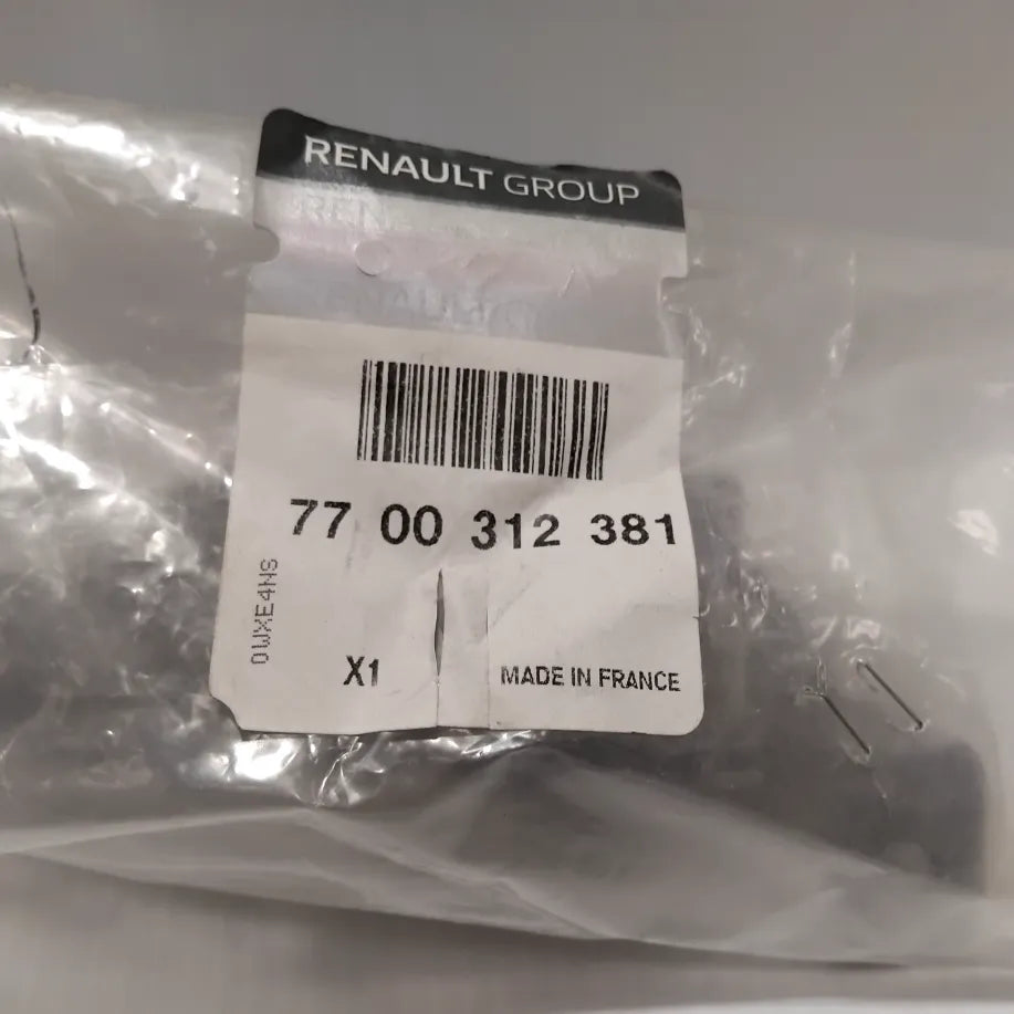 Genuine Renault Check Strap Door | 77 00 312 381
