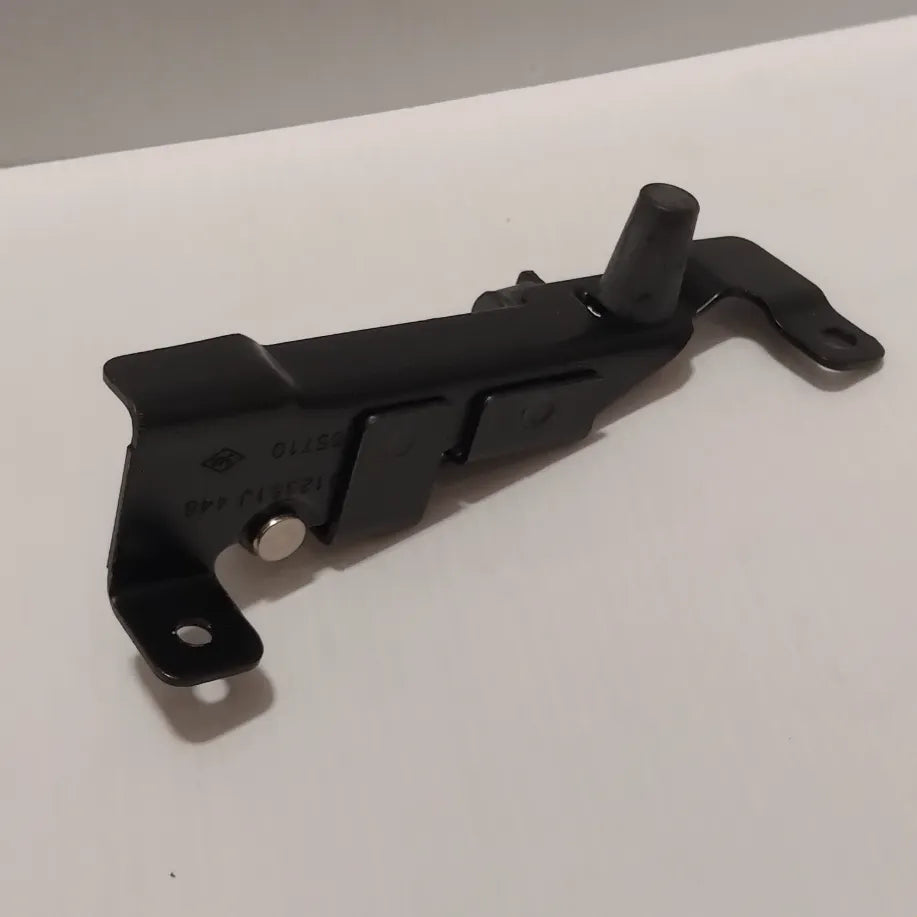 Genuine Renault Check Strap Door | 77 00 312 381