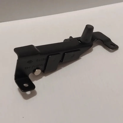 Genuine Renault Check Strap Door | 77 00 312 381