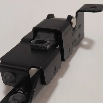 Genuine Renault Check Strap Door | 77 00 312 381