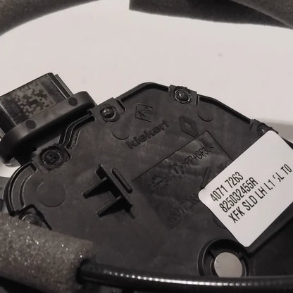 Genuine Renault Lock-Rr Lh Door | 82 50 324 55R