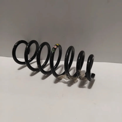 Genuine Suspension Spring - Fiat | 50534841