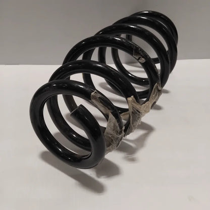 Genuine Suspension Spring - Fiat | 50534841