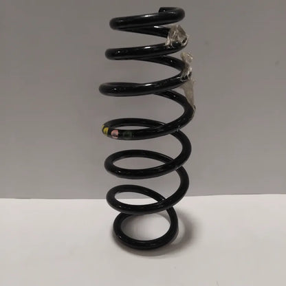 Genuine Suspension Spring - Fiat | 50534841
